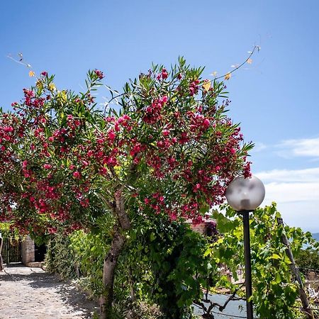Casa Aniello Villa Caprioli Dış mekan fotoğraf
